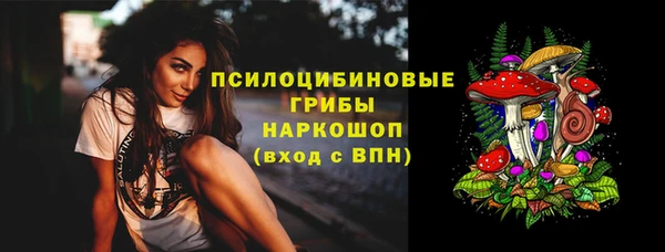 винт Новозыбков