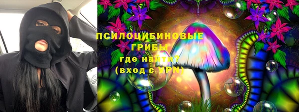 МДПВ Алзамай