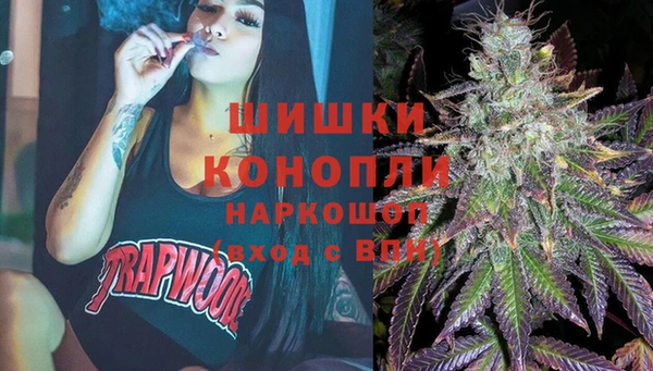 МДПВ Алзамай