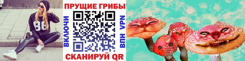 Псилоцибиновые грибы мухоморы  дарнет шоп  shop телеграм  Малаховка 